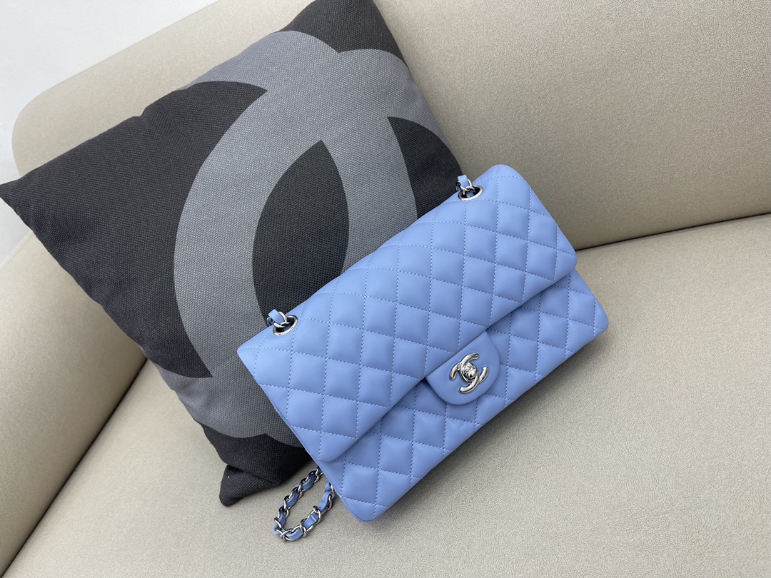 Medium Classic Flap Lambskin Bag AO1112 Baby Blue/Silver